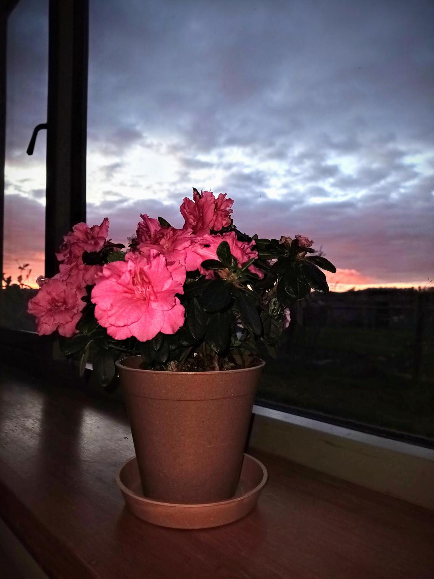 Mapperton Barn House B&B Nr Stourhead & Longleat Mere  エクステリア 写真
